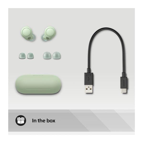 WF-C700N Wireless Bluetooth Noise-Cancelling Earbuds Sage