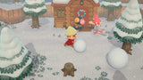 Animal Crossing New Horizons (Nintendo Switch)