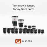 Sony Full-Frame Lens FE 12-24mm F2.8 - G Master Series