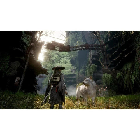 Beast of Reincarnation (PS5) - Fotosound