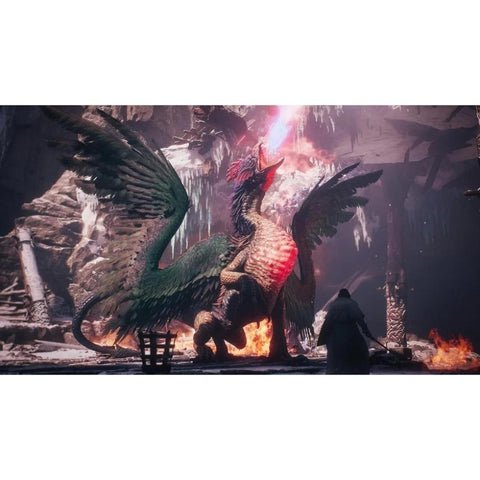 DRAGONS DOGMA II DARK ARISEN (SW2) S2KERPCAP91234 - Fotosound