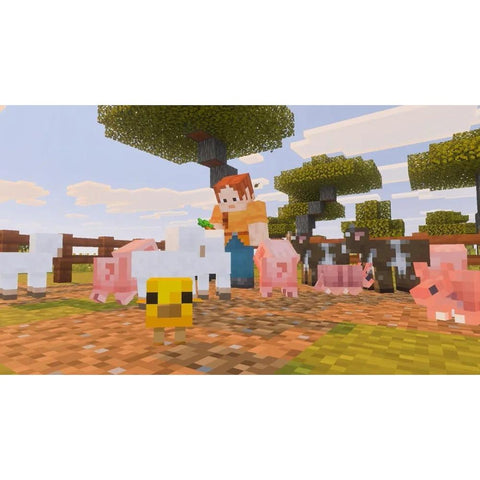 Minecraft (Switch 2) - Fotosound