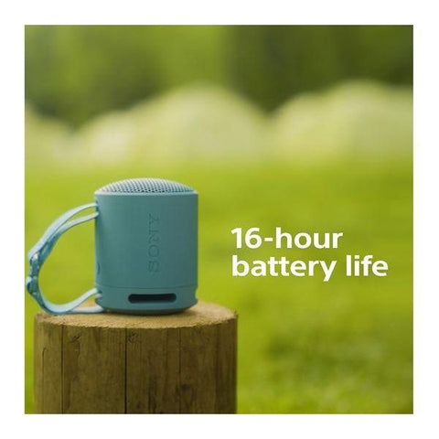 SRS-XB100 Portable Bluetooth Speaker - Fotosound Jersey LTD.
