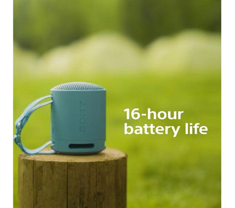 SRS-XB100 Portable Bluetooth Speaker - Fotosound Jersey LTD.